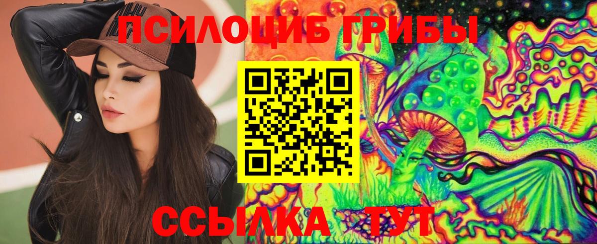Буйнакск  Псилоцибиновые грибы Cubensis  Вход с VPN 