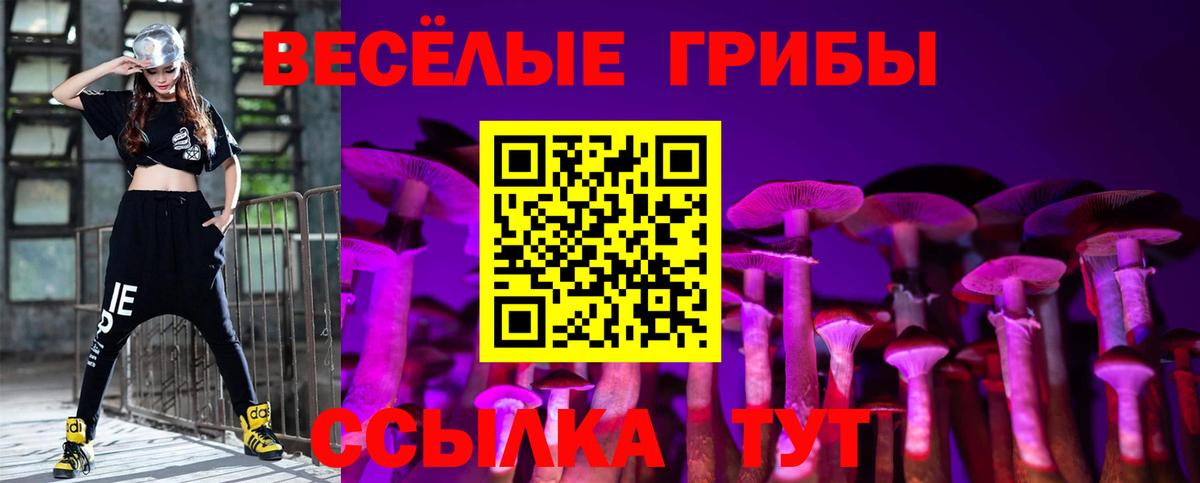 Псилоцибиновые грибы прущие грибы Буйнакск